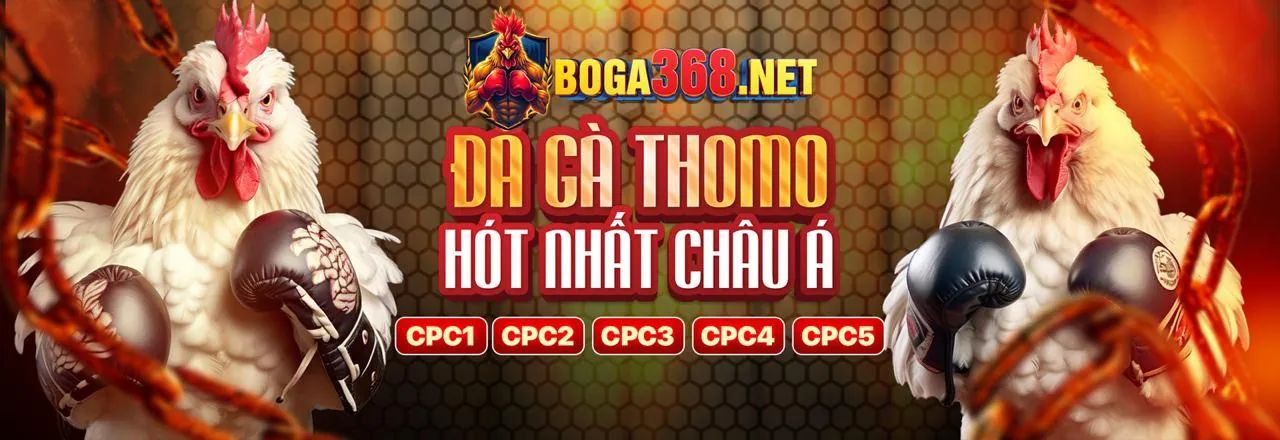 Hỗ trợ khách hàng 24/7 của i999